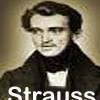 Strauss Johann 1825-1899 Walzer Medley Als flotter Geist Wiener Blut Zigeunerbaron Orchester